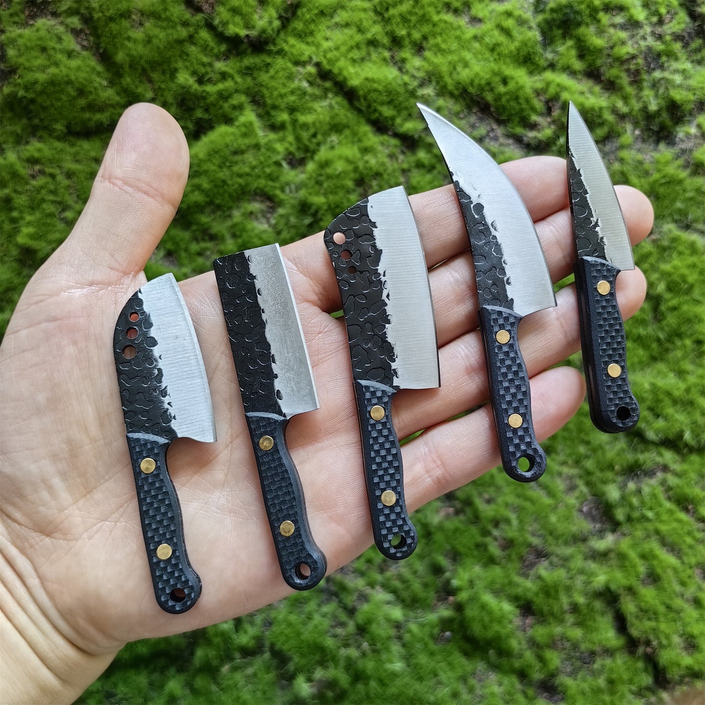 Wood Handle Mini Kitchen Knife EDC Tool Knife 5 In 1 Pack