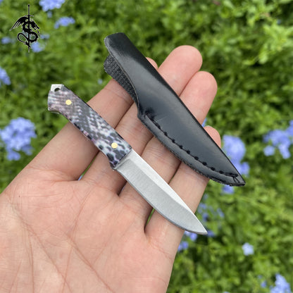 High-End Acrylic Handle Mini EDC Unboxing Knife