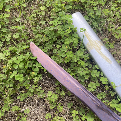 Japanese Katana- Tenchikuken