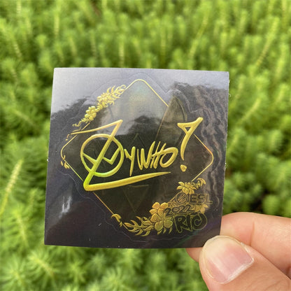 50 Holographic Hot CS Stickers