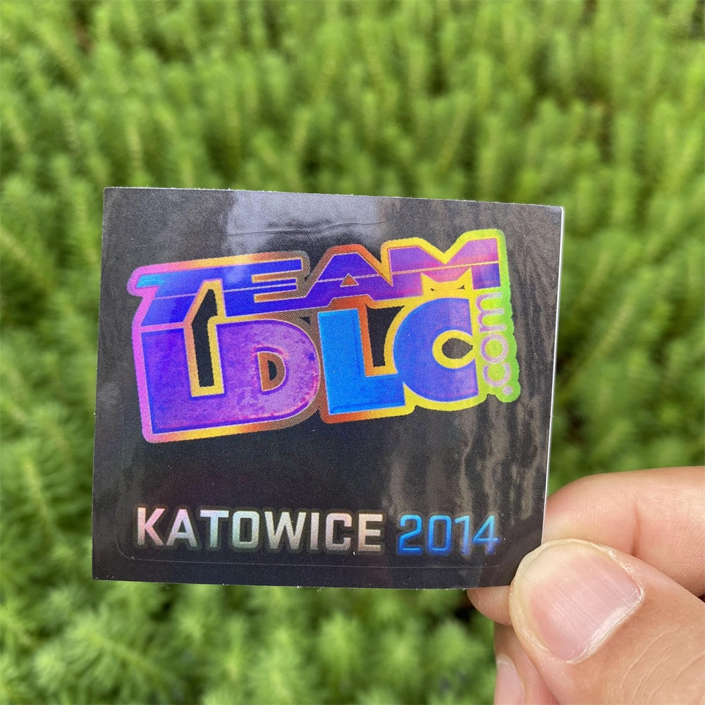 50 Holographic Hot CS Stickers