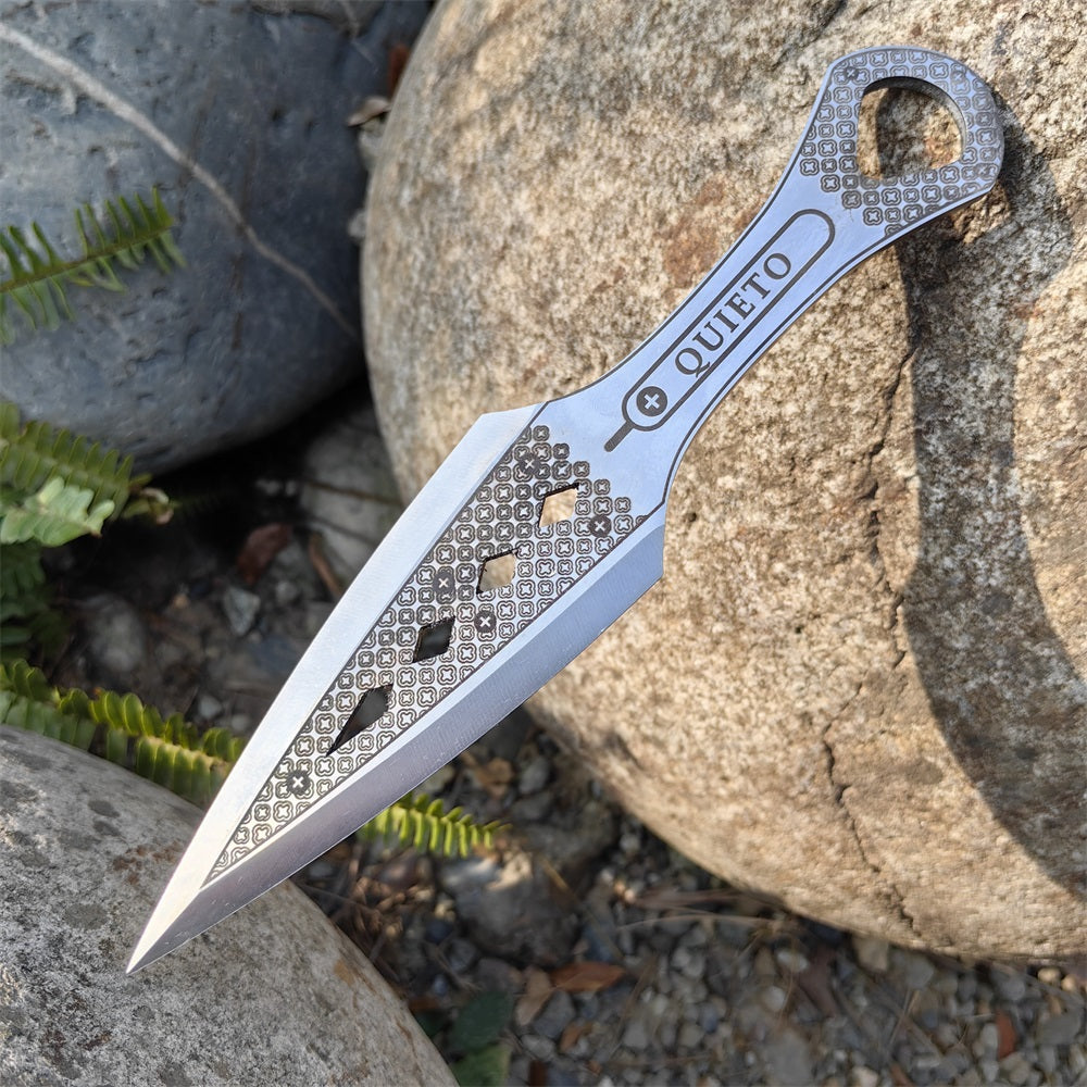 Hand-Forged Steel 1:1 Wraith Heirloom